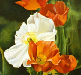Painting of poppies