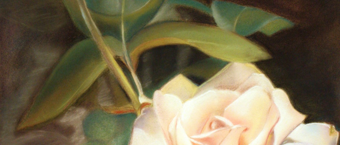 Pastel painting of a rose