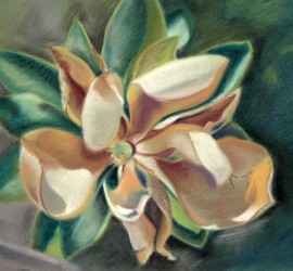 Waterlily in pastels
